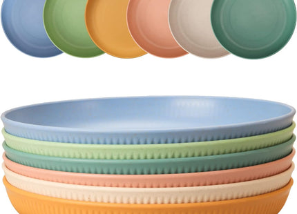 CSYY 6pc 9 Inch Unbreakable Deep Dinner Plates – Colourful