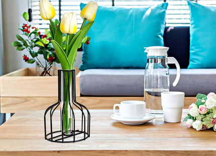 Pack of 2 Black Flower Vase with Metal Frame and Clear Glass – Black