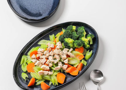VICRAYS 14.5" Oval Ceramic Serving Platters Set of 2 – Blue Porcelain
