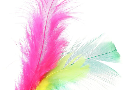 POPETPOP Feather Cat Ball Toy Set – 24 Pack Interactive Kitten Toys