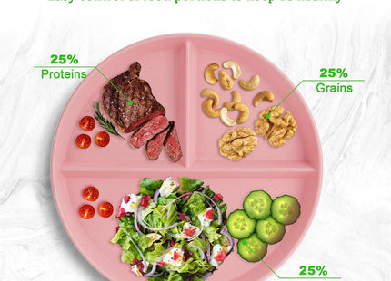 CSYY 4pc 9 Inch Divided Portion Control Dinner Plates – Multicolour