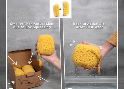myHomeBody Bath Sponge Foam Loofah 2 Pack Large Exfoliating Shower Sponges Yellow