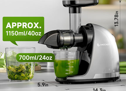 AMZCHEF Cold Press Juicer – Slow Masticating Juicer for Fruits & Vegetables – Grey