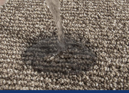 FCSDETAIL Dirt Trapper Indoor Door Mat 80 x 120cm – Washable Entrance Rug, Beige