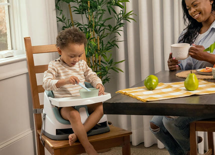 Ingenuity Baby Base 2-in-1 Booster Seat Mist – Feeding & Dining Seat with Tray