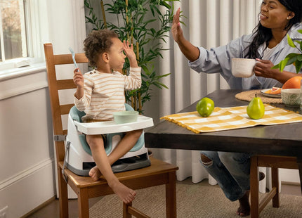 Ingenuity Baby Base 2-in-1 Booster Seat Mist – Feeding & Dining Seat with Tray