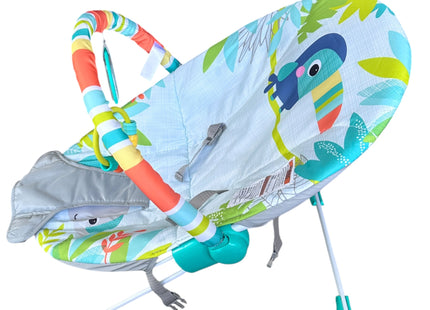 Bright Starts Baby Bouncer with Soothing Vibrations & Removable Toy Bar – USED