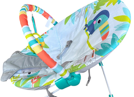 Bright Starts Baby Bouncer with Soothing Vibrations & Removable Toy Bar – USED
