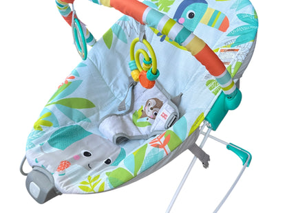 Bright Starts Baby Bouncer with Soothing Vibrations & Removable Toy Bar – USED