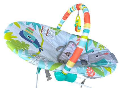 Bright Starts Baby Bouncer with Soothing Vibrations & Removable Toy Bar – USED