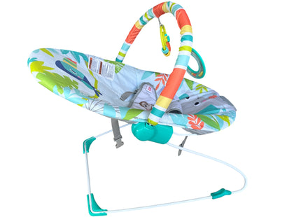 Bright Starts Baby Bouncer with Soothing Vibrations & Removable Toy Bar – USED